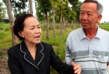 Bà Ba Sương trở lại thương trường